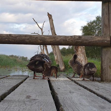 Fewo Im Alten Fachwerkhaus Bad Buchau Zewnętrze zdjęcie